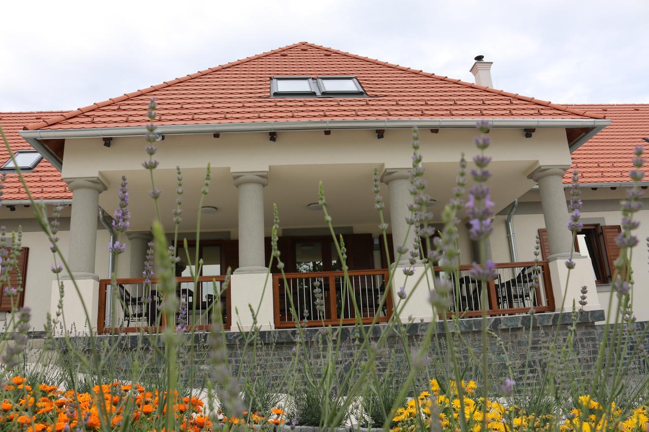 Villa Tolnay Vendeghaz Gyulakeszi Luaran gambar